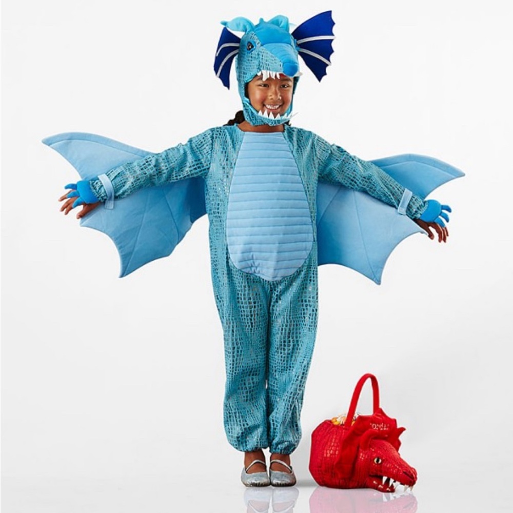 Pottery Barn Blue Dragon Costume